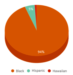 This chart displays the percentage breakdown of students of all ethnic groups in Marshall Elementary School. This chart displays the percentage breakdown of students of all ethnic groups in Marshall Elementary School.