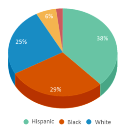 This chart displays the percentage breakdown of students of all ethnic groups in Dania Elementary School. This chart displays the percentage breakdown of students of all ethnic groups in Dania Elementary School.
