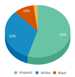 This chart displays the percentage breakdown of students of all ethnic groups in Wauchula Elementary School. This chart displays the percentage breakdown of students of all ethnic groups in Wauchula Elementary School.