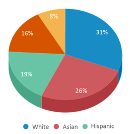 This chart displays the percentage breakdown of students of all ethnic groups in Chiles Elementary School. This chart displays the percentage breakdown of students of all ethnic groups in Chiles Elementary School.