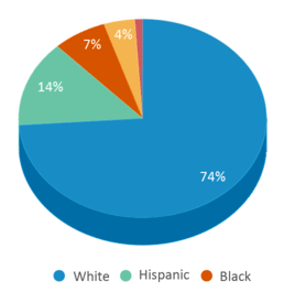 This chart displays the percentage breakdown of students of all ethnic groups in Felix A Williams Elementary School. This chart displays the percentage breakdown of students of all ethnic groups in Felix A Williams Elementary School.