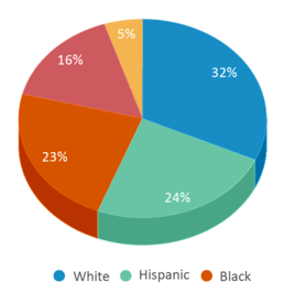 This chart displays the percentage breakdown of students of all ethnic groups in Suncoast Community High School. This chart displays the percentage breakdown of students of all ethnic groups in Suncoast Community High School.