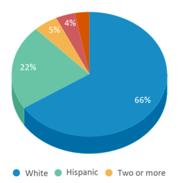 This chart displays the percentage breakdown of students of all ethnic groups in Dayspring Academy. This chart displays the percentage breakdown of students of all ethnic groups in Dayspring Academy.