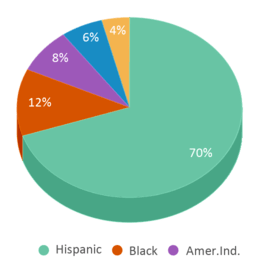 This chart displays the percentage breakdown of students of all ethnic groups in Ombudsman - Charter East. This chart displays the percentage breakdown of students of all ethnic groups in Ombudsman - Charter East.