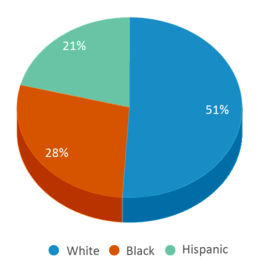 This chart displays the percentage breakdown of students of all ethnic groups in Gause Riverside Academy. This chart displays the percentage breakdown of students of all ethnic groups in Gause Riverside Academy.