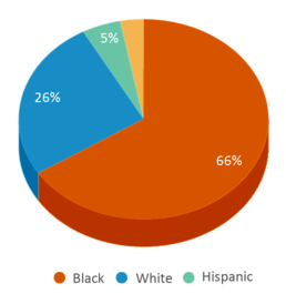 This chart displays the percentage breakdown of students of all ethnic groups in Fred A. Toomer Elementary School. This chart displays the percentage breakdown of students of all ethnic groups in Fred A. Toomer Elementary School.