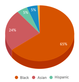 This chart displays the percentage breakdown of students of all ethnic groups in Dunaire Elementary School. This chart displays the percentage breakdown of students of all ethnic groups in Dunaire Elementary School.