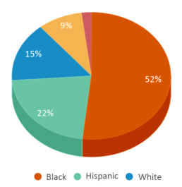 This chart displays the percentage breakdown of students of all ethnic groups in Robert J. Burch Elementary School. This chart displays the percentage breakdown of students of all ethnic groups in Robert J. Burch Elementary School.