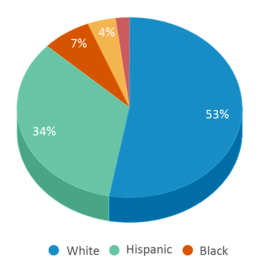This chart displays the percentage breakdown of students of all ethnic groups in C. W. Davis Middle School. This chart displays the percentage breakdown of students of all ethnic groups in C. W. Davis Middle School.