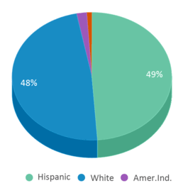 This chart displays the percentage breakdown of students of all ethnic groups in William Thomas Middle School. This chart displays the percentage breakdown of students of all ethnic groups in William Thomas Middle School.