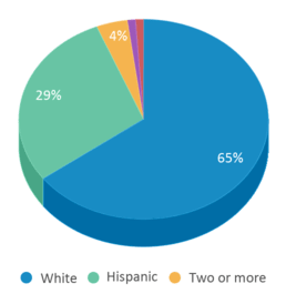 This chart displays the percentage breakdown of students of all ethnic groups in Fruitland High School. This chart displays the percentage breakdown of students of all ethnic groups in Fruitland High School.