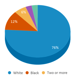This chart displays the percentage breakdown of students of all ethnic groups in Oscar Hamilton Elementary School. This chart displays the percentage breakdown of students of all ethnic groups in Oscar Hamilton Elementary School.