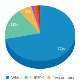 This chart displays the percentage breakdown of students of all ethnic groups in Sawtooth Elementary School. This chart displays the percentage breakdown of students of all ethnic groups in Sawtooth Elementary School.