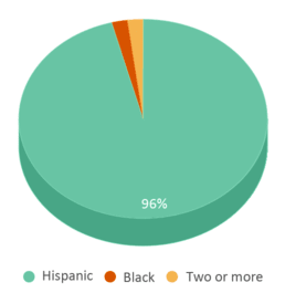 This chart displays the percentage breakdown of students of all ethnic groups in Grant Primary. This chart displays the percentage breakdown of students of all ethnic groups in Grant Primary.
