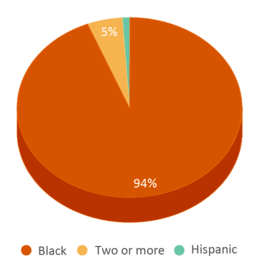 This chart displays the percentage breakdown of students of all ethnic groups in Mayo Elementary School. This chart displays the percentage breakdown of students of all ethnic groups in Mayo Elementary School.