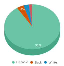 This chart displays the percentage breakdown of students of all ethnic groups in Evergreen Academy Elementary School. This chart displays the percentage breakdown of students of all ethnic groups in Evergreen Academy Elementary School.
