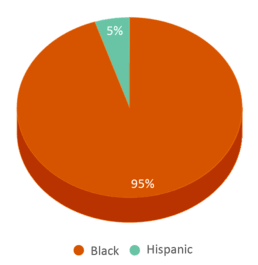 This chart displays the percentage breakdown of students of all ethnic groups in Yvetta H Younge Middle School. This chart displays the percentage breakdown of students of all ethnic groups in Yvetta H Younge Middle School.