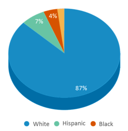 This chart displays the percentage breakdown of students of all ethnic groups in Central Grade School. This chart displays the percentage breakdown of students of all ethnic groups in Central Grade School.
