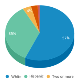 This chart displays the percentage breakdown of students of all ethnic groups in Lotus School. This chart displays the percentage breakdown of students of all ethnic groups in Lotus School.
