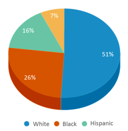 This chart displays the percentage breakdown of students of all ethnic groups in Wilson Elementary School. This chart displays the percentage breakdown of students of all ethnic groups in Wilson Elementary School.
