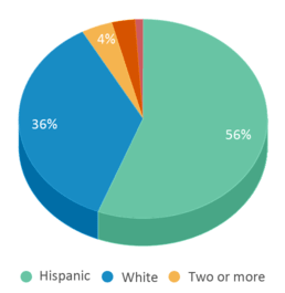 This chart displays the percentage breakdown of students of all ethnic groups in Avon Center Elementary School. This chart displays the percentage breakdown of students of all ethnic groups in Avon Center Elementary School.