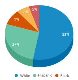 This chart displays the percentage breakdown of students of all ethnic groups in Harding Primary School. This chart displays the percentage breakdown of students of all ethnic groups in Harding Primary School.
