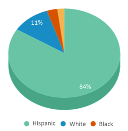 This chart displays the percentage breakdown of students of all ethnic groups in Round Lake Beach Elementary School. This chart displays the percentage breakdown of students of all ethnic groups in Round Lake Beach Elementary School.