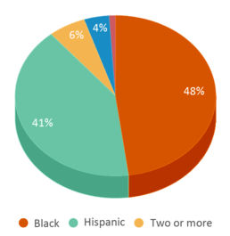 This chart displays the percentage breakdown of students of all ethnic groups in Sieden Prairie Elementary School. This chart displays the percentage breakdown of students of all ethnic groups in Sieden Prairie Elementary School.
