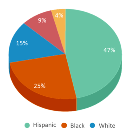This chart displays the percentage breakdown of students of all ethnic groups in Jane Addams Middle School. This chart displays the percentage breakdown of students of all ethnic groups in Jane Addams Middle School.