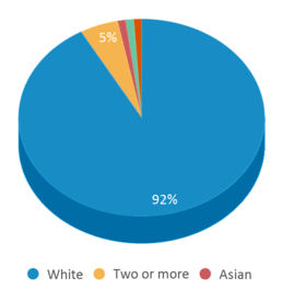 This chart displays the percentage breakdown of students of all ethnic groups in Zeigler-royalton Jr High School. This chart displays the percentage breakdown of students of all ethnic groups in Zeigler-royalton Jr High School.