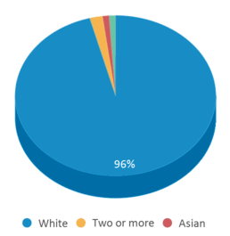 This chart displays the percentage breakdown of students of all ethnic groups in Carthage Elementary School. This chart displays the percentage breakdown of students of all ethnic groups in Carthage Elementary School.