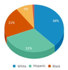 This chart displays the percentage breakdown of students of all ethnic groups in Concord South Side Elementary School. This chart displays the percentage breakdown of students of all ethnic groups in Concord South Side Elementary School.