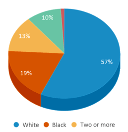 This chart displays the percentage breakdown of students of all ethnic groups in Pettit Park School. This chart displays the percentage breakdown of students of all ethnic groups in Pettit Park School.