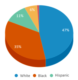 This chart displays the percentage breakdown of students of all ethnic groups in Coolspring Elementary School. This chart displays the percentage breakdown of students of all ethnic groups in Coolspring Elementary School.