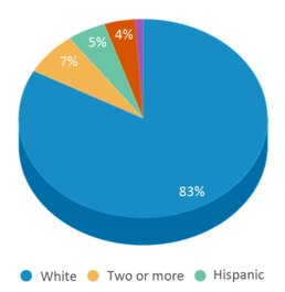 This chart displays the percentage breakdown of students of all ethnic groups in Peru Jr/sr High School. This chart displays the percentage breakdown of students of all ethnic groups in Peru Jr/sr High School.