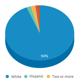This chart displays the percentage breakdown of students of all ethnic groups in Salem High School. This chart displays the percentage breakdown of students of all ethnic groups in Salem High School.