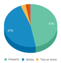 This chart displays the percentage breakdown of students of all ethnic groups in Seymour Middle School. This chart displays the percentage breakdown of students of all ethnic groups in Seymour Middle School.