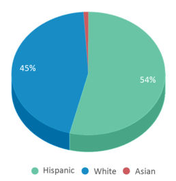This chart displays the percentage breakdown of students of all ethnic groups in West Noble High School. This chart displays the percentage breakdown of students of all ethnic groups in West Noble High School.