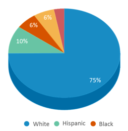 This chart displays the percentage breakdown of students of all ethnic groups in Carey Ridge Elementary School. This chart displays the percentage breakdown of students of all ethnic groups in Carey Ridge Elementary School.