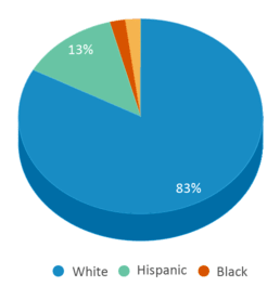 This chart displays the percentage breakdown of students of all ethnic groups in Sioux Central High School. This chart displays the percentage breakdown of students of all ethnic groups in Sioux Central High School.