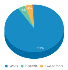This chart displays the percentage breakdown of students of all ethnic groups in Ahstw Primary School. This chart displays the percentage breakdown of students of all ethnic groups in Ahstw Primary School.