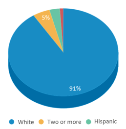 This chart displays the percentage breakdown of students of all ethnic groups in Clarinda High School. This chart displays the percentage breakdown of students of all ethnic groups in Clarinda High School.
