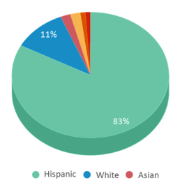 This chart displays the percentage breakdown of students of all ethnic groups in Pueblo Elementary School. This chart displays the percentage breakdown of students of all ethnic groups in Pueblo Elementary School.