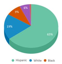 This chart displays the percentage breakdown of students of all ethnic groups in Villa Oasis Interscholastic Center For Education. This chart displays the percentage breakdown of students of all ethnic groups in Villa Oasis Interscholastic Center For Education.