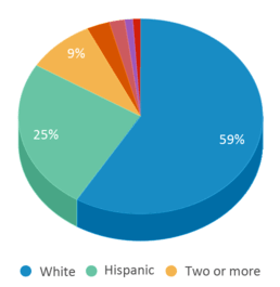 This chart displays the percentage breakdown of students of all ethnic groups in Ashland Elementary School. This chart displays the percentage breakdown of students of all ethnic groups in Ashland Elementary School.