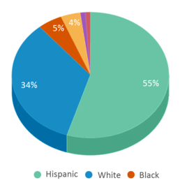 This chart displays the percentage breakdown of students of all ethnic groups in Sunnyslope High School. This chart displays the percentage breakdown of students of all ethnic groups in Sunnyslope High School.