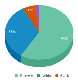 This chart displays the percentage breakdown of students of all ethnic groups in Homebound. This chart displays the percentage breakdown of students of all ethnic groups in Homebound.