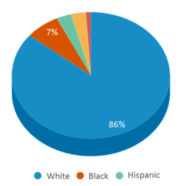 This chart displays the percentage breakdown of students of all ethnic groups in Lyons Middle School. This chart displays the percentage breakdown of students of all ethnic groups in Lyons Middle School.