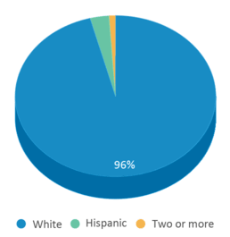 This chart displays the percentage breakdown of students of all ethnic groups in Denver Senior High School. This chart displays the percentage breakdown of students of all ethnic groups in Denver Senior High School.