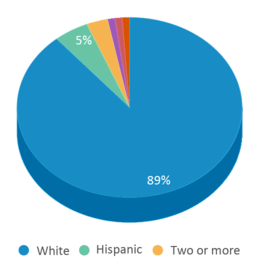 This chart displays the percentage breakdown of students of all ethnic groups in Hubbard-radcliffe Elementary School. This chart displays the percentage breakdown of students of all ethnic groups in Hubbard-radcliffe Elementary School.